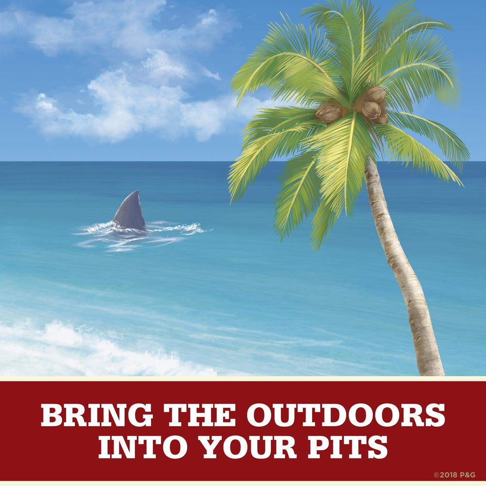 Parfum Old Spice Fiji, ambiance tropicale rappelant une escapade insulaire.