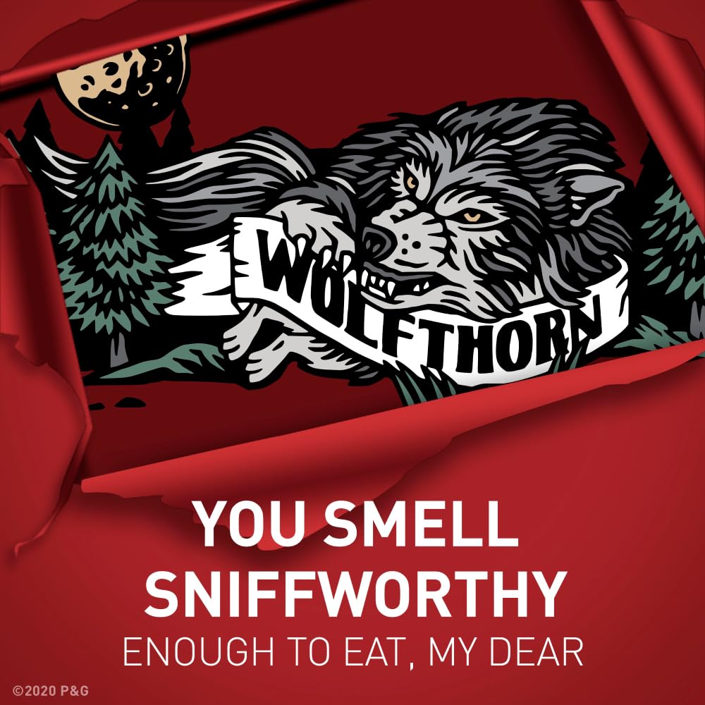 Old Spice Wolfthorn utilisation quotidienne facile et rapide.