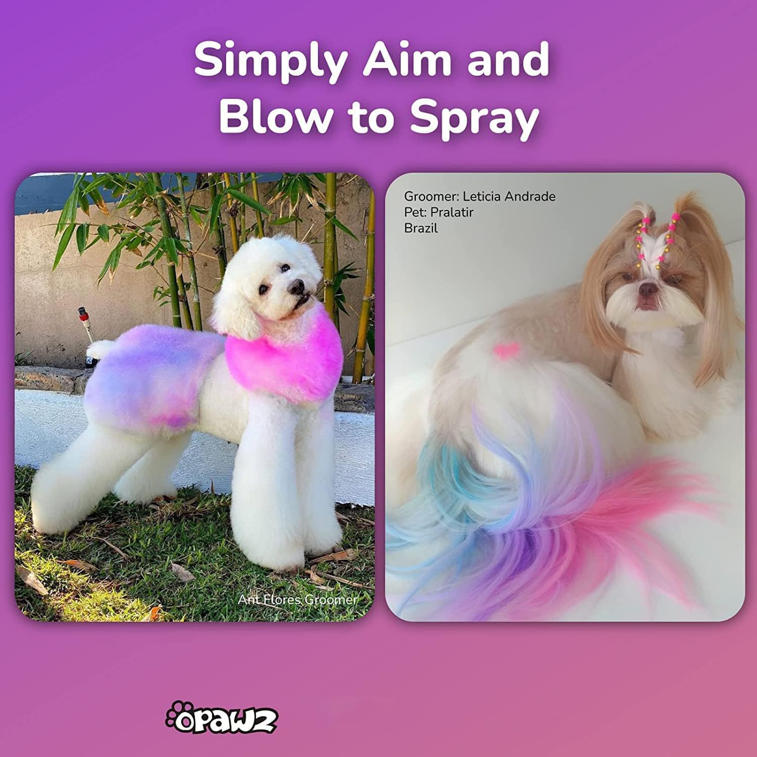 OPAWZ teinture pour poils de chien et chat, lavable au shampoing