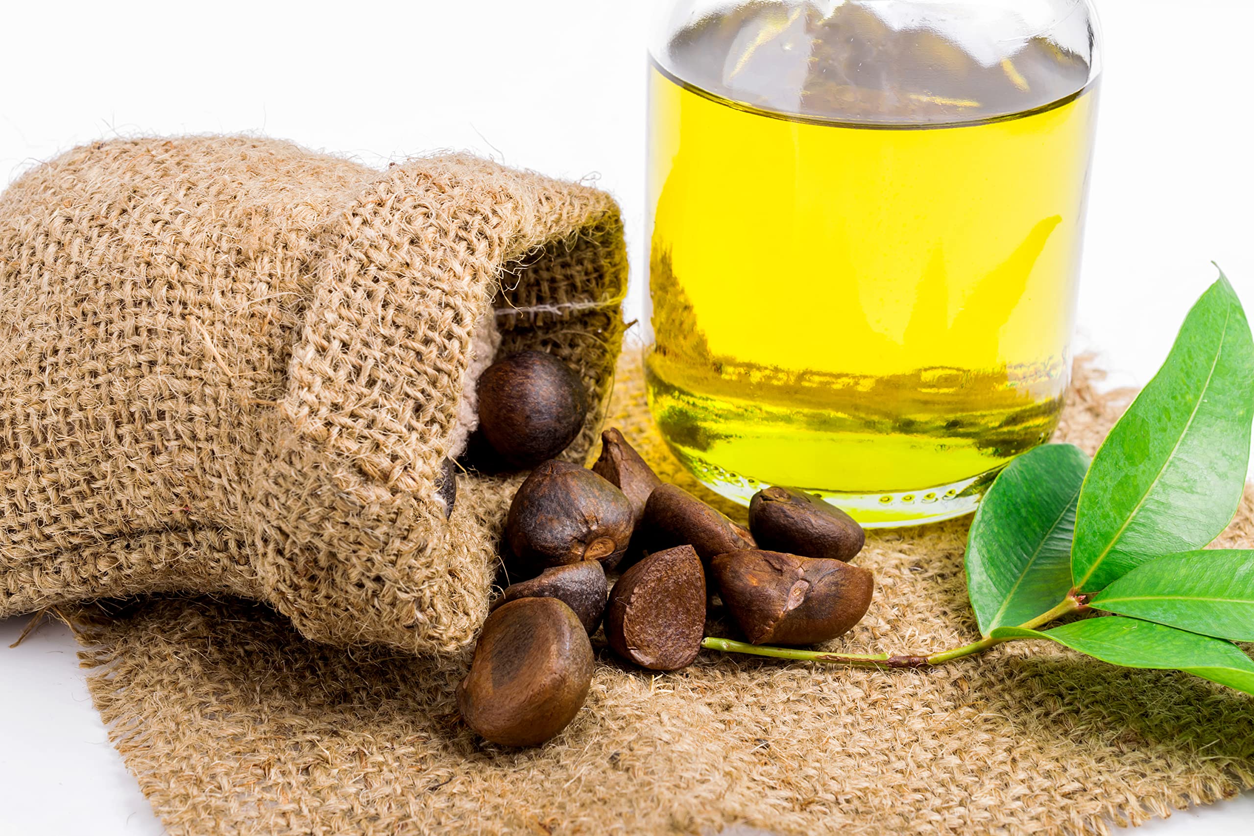 Organic Pure Oil huile camellia pour ongles plus forts et cuticules soignées