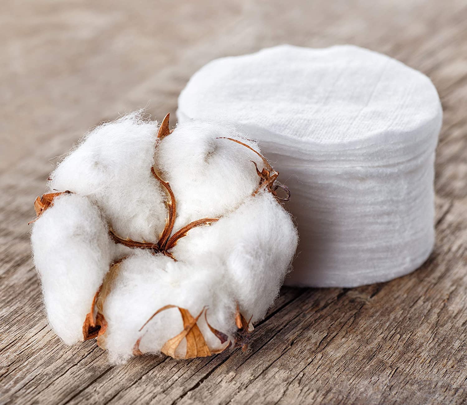 Organyc disques coton biodégradables sans chlore, respectueux de l’environnement.