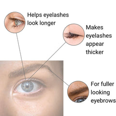 Organys Lash & Brow Serum appliqué à la racine des sourcils pour contours nets.