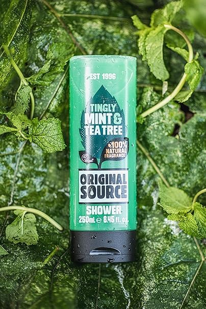 Original Source arôme frais menthe – parfum rafraîchissant pour la douche.
