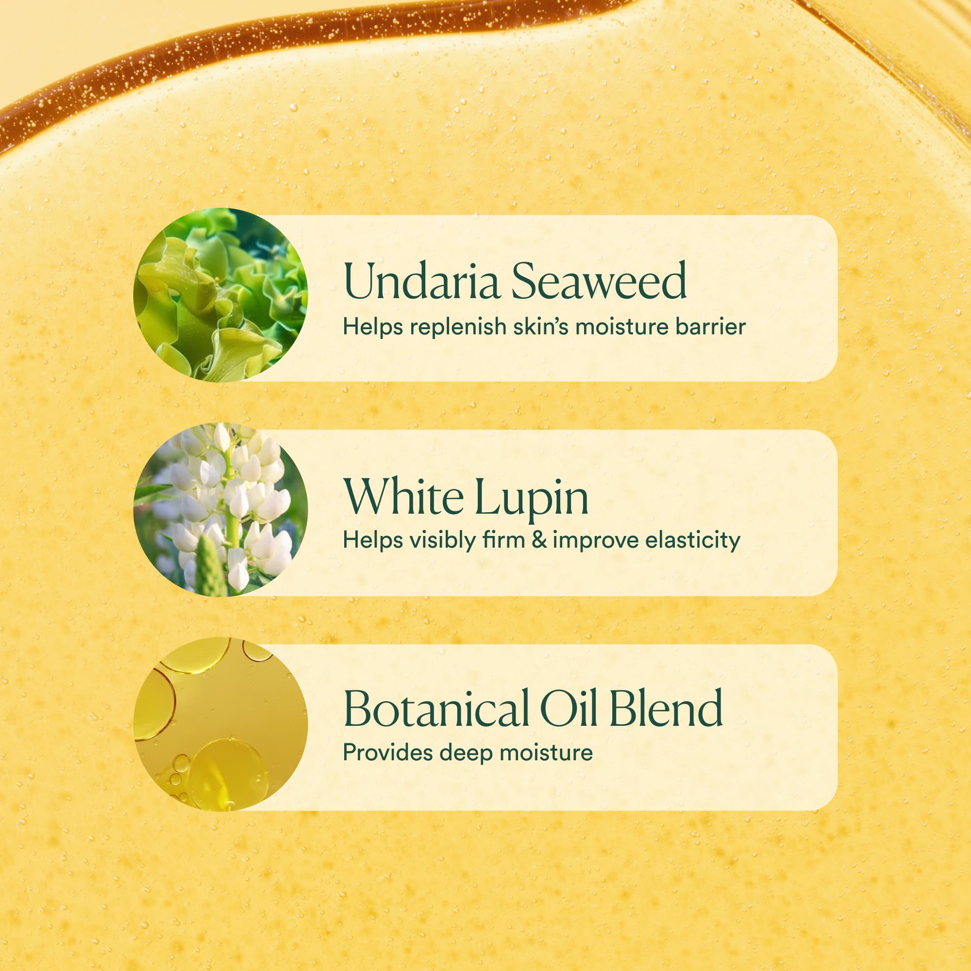 OSEA Undaria Huile Corps – texture non grasse et absorption rapide.