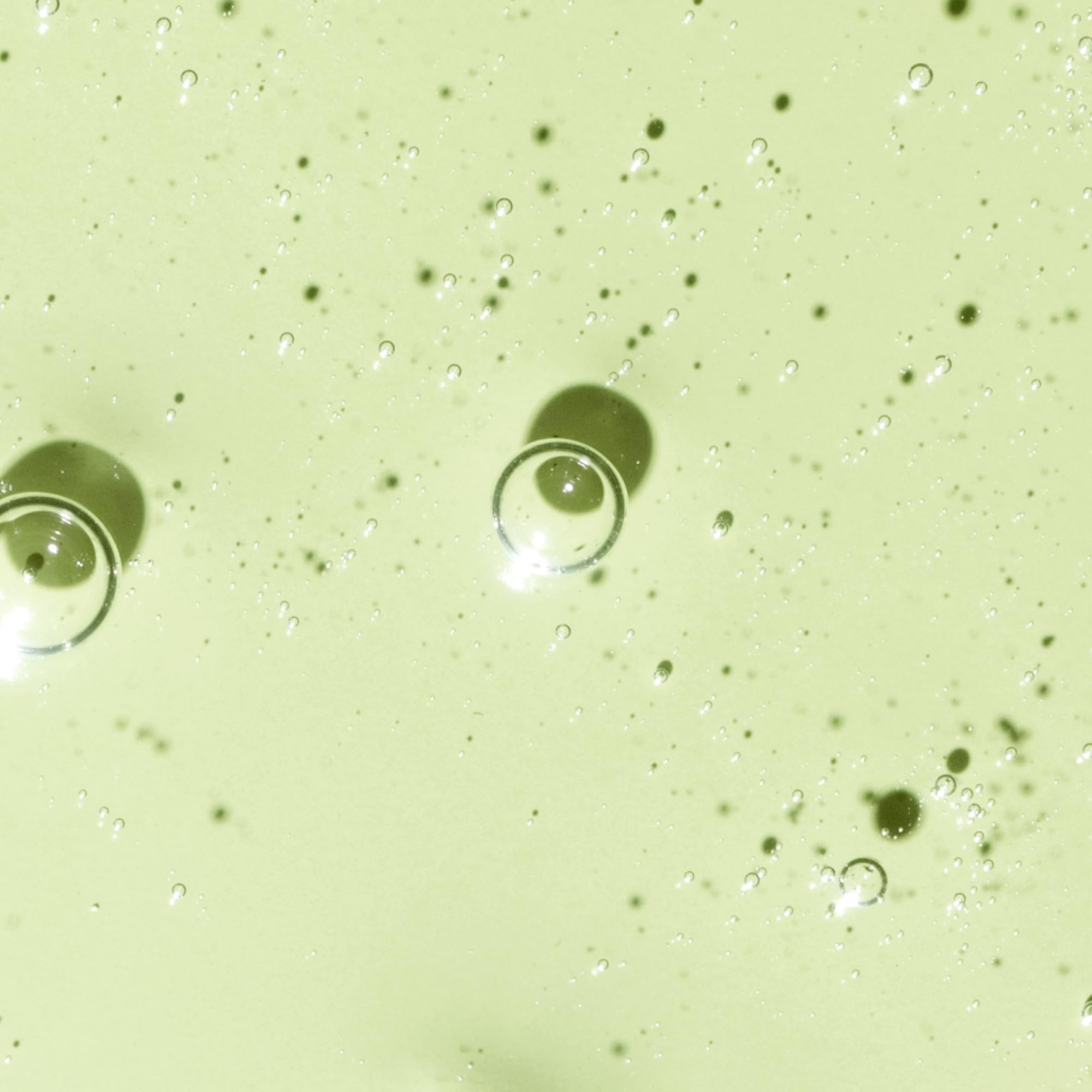 Rituel quotidien avec le sérum OSEA hydratation durable pour peau saine