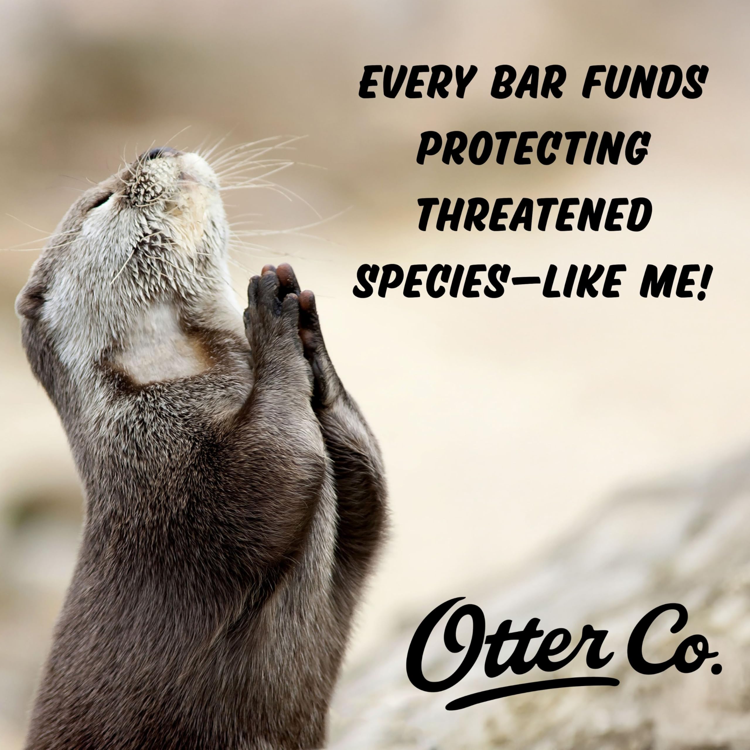 Otter Co barre-shampoing pour tous types de cheveux: convient même aux cuirs sensibles.