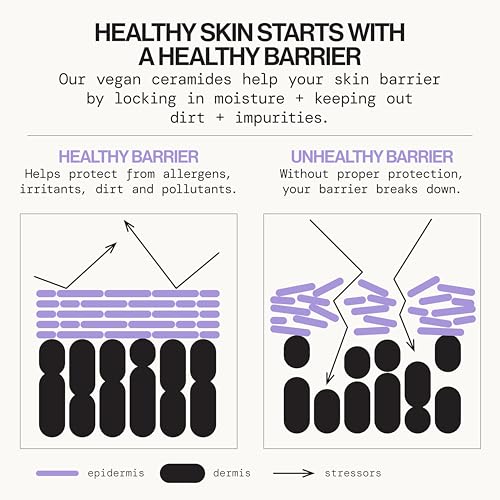 Formulation avec céramides véganes et niacinamide pour renforcer la barrière cutanée.