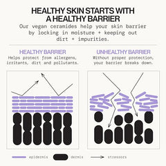 Formulation avec céramides véganes et niacinamide pour renforcer la barrière cutanée.