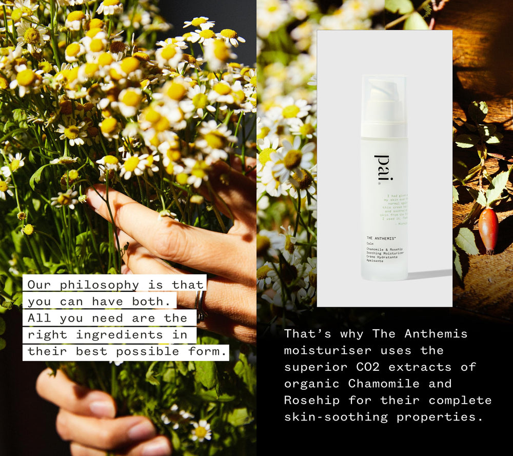 PAI SKINCARE The Anthemis: extrait de camomille organique pour apaiser la peau sensible.