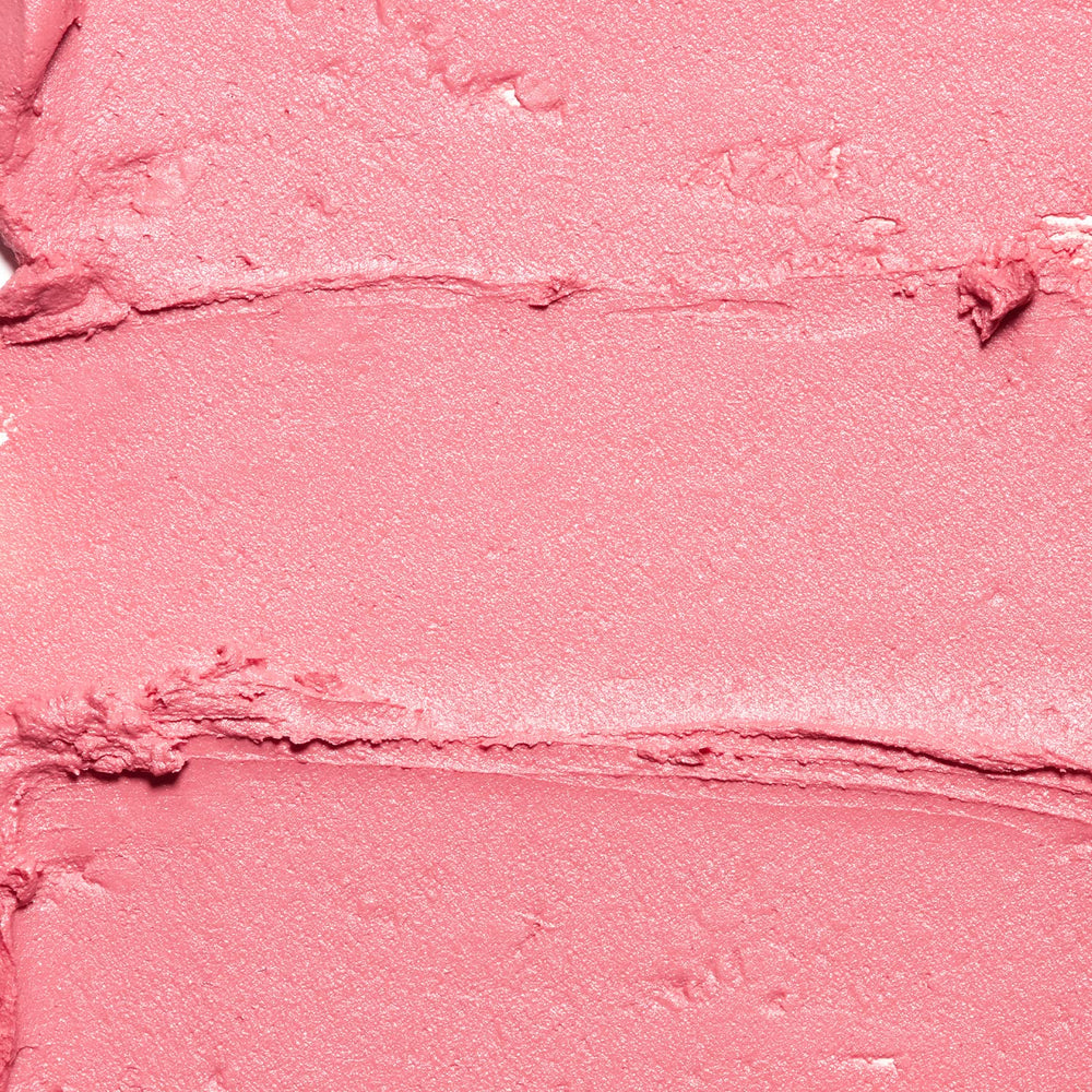 Palladio I'm Blushing Stick Teint-Lèvres, couleur douce et hydratation