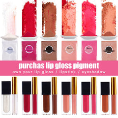 PARAMISS pigments gloss nude champagne pour teintes douces et veloutées
