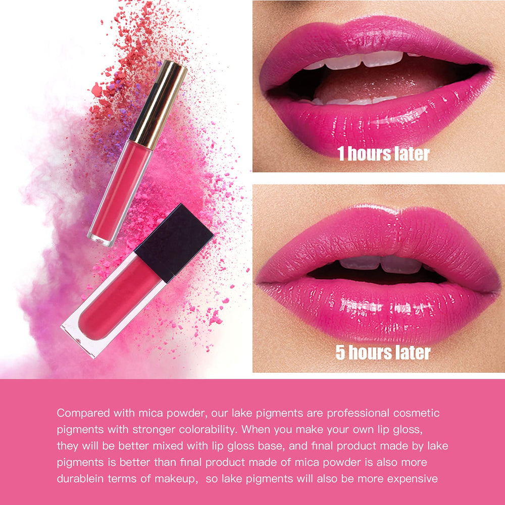 PARAMISS pigments mélange teintes pour personnaliser gloss et rouge à lèvres