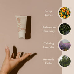 Absorption rapide du sérum PAUME – fini non gras