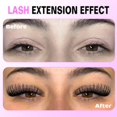 Pawotence clusters cils 8-15 mm, adaptable à différentes occasions pour un style personnalisé.
