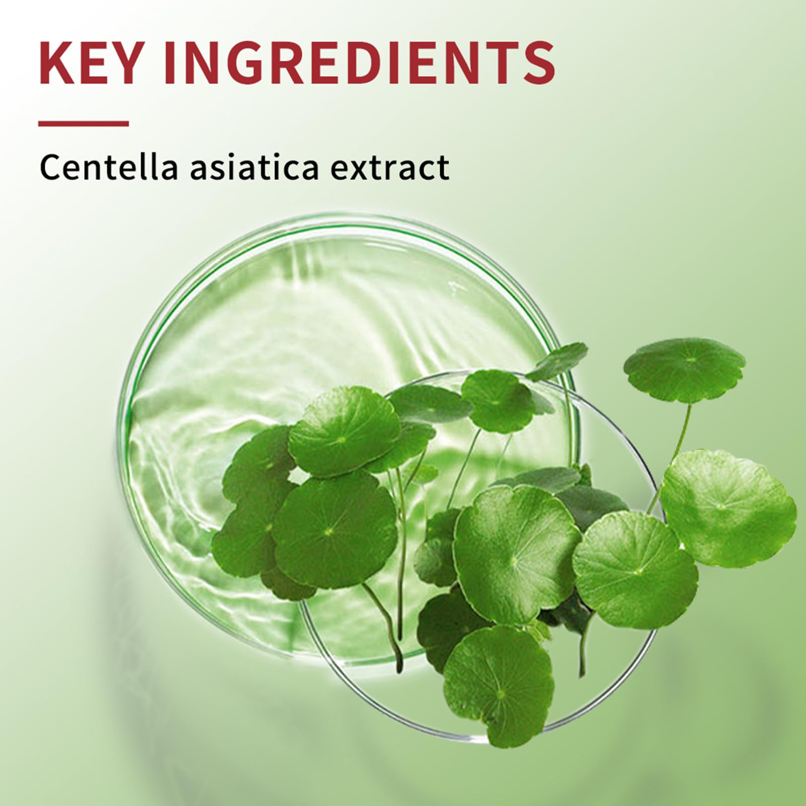 Pdtwq CC Crème Rouge Centella – protection solaire intégrée pour une protection quotidienne.