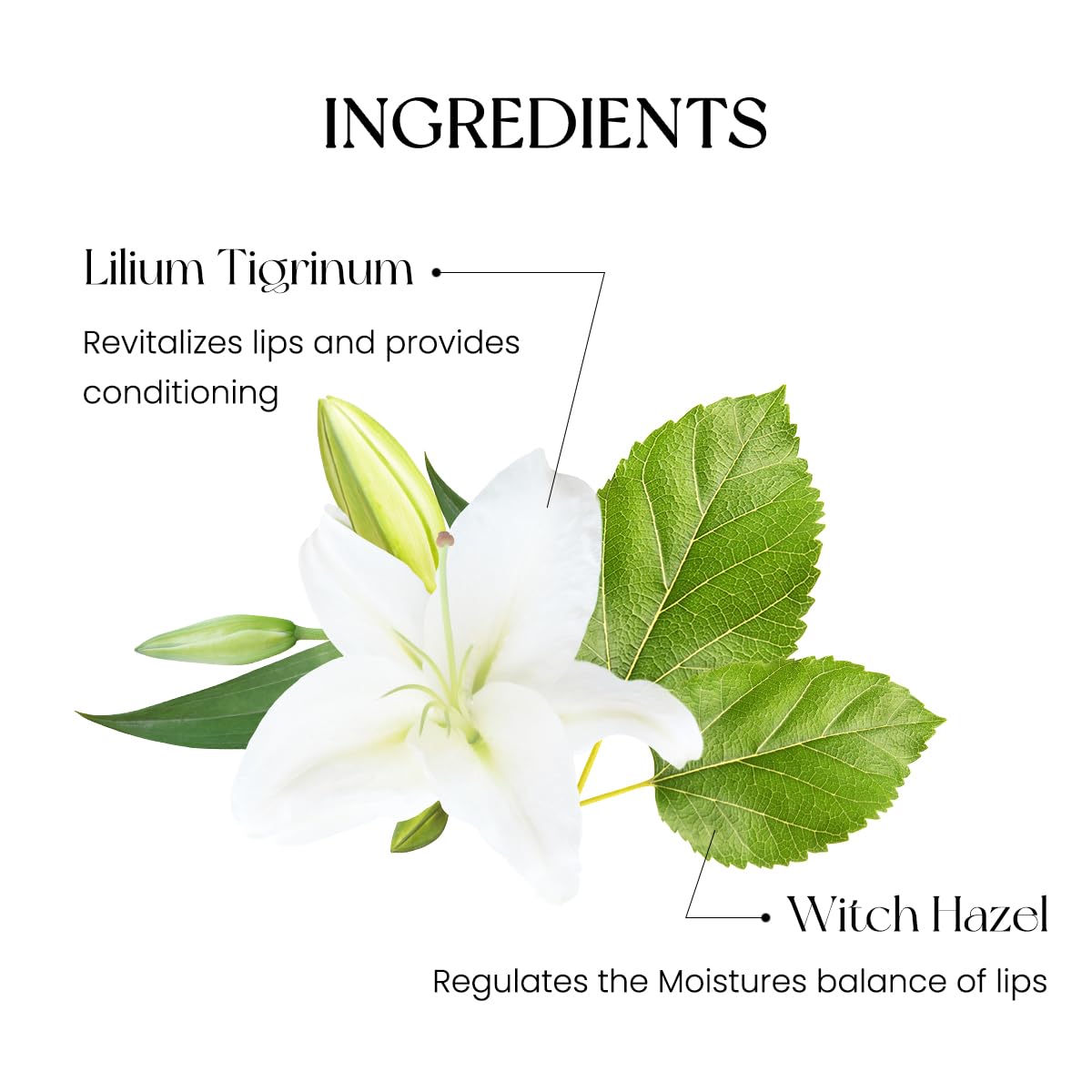 Application du Ink Mood Glowy Tint sur les contours des lèvres, précision et confort.