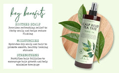 PHARM TO TABLE leave-in spray detangles hair with a lightweight, non-greasy finish.