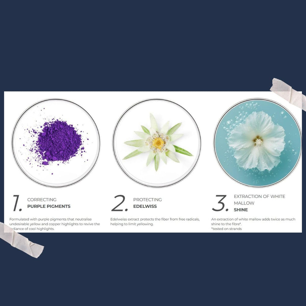 PHYTO Purple Shampoing, lumière-froide, contribue à des reflets froids plus nets.