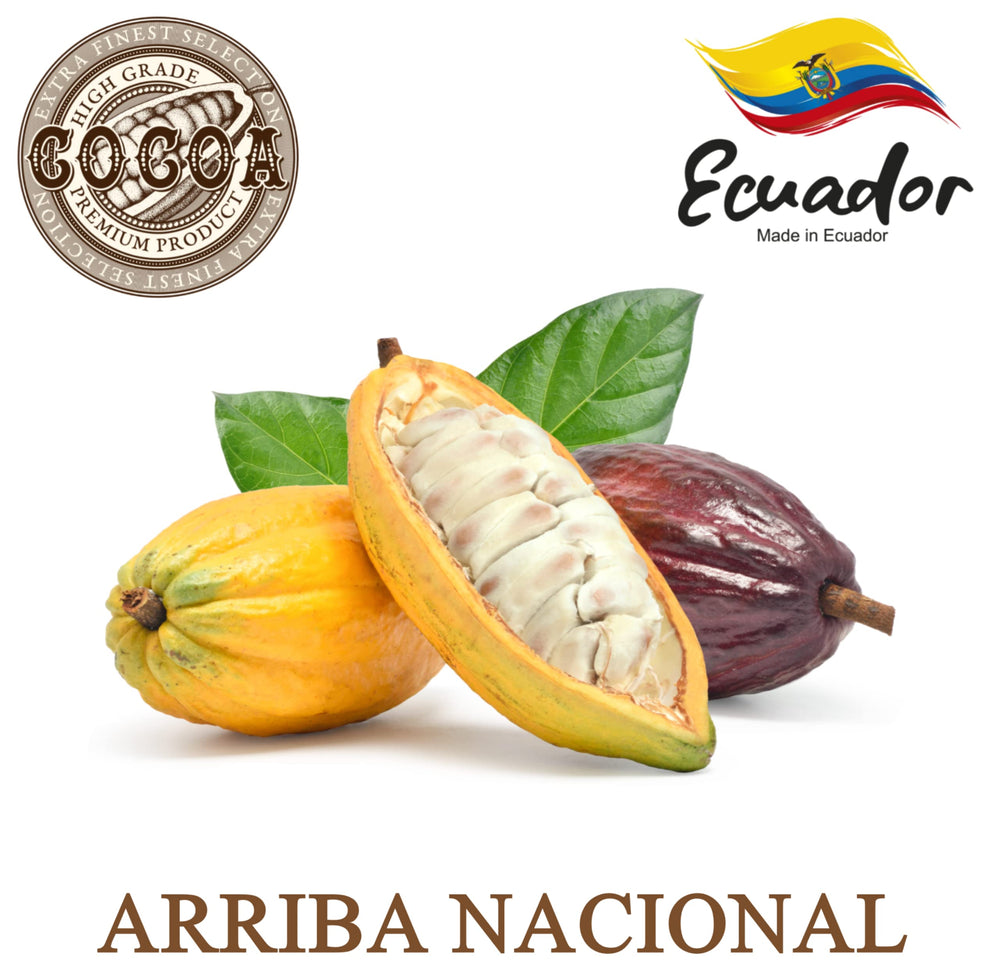 Beurre cacao Plant Guru – pour soins corporels faits maison.