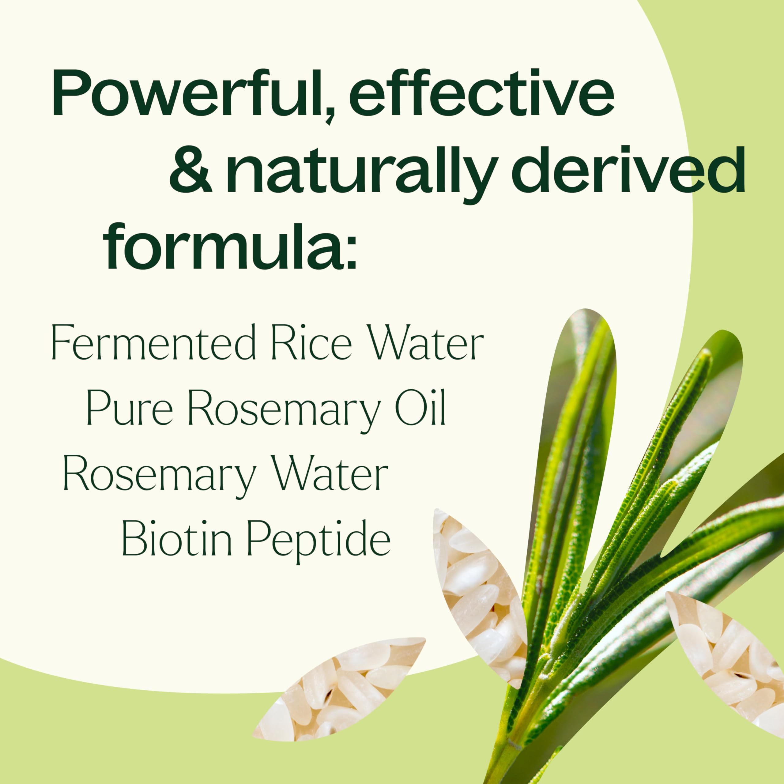 Plant Therapy Rosemary & Rice Water Spray, brillance douce sans résidu.