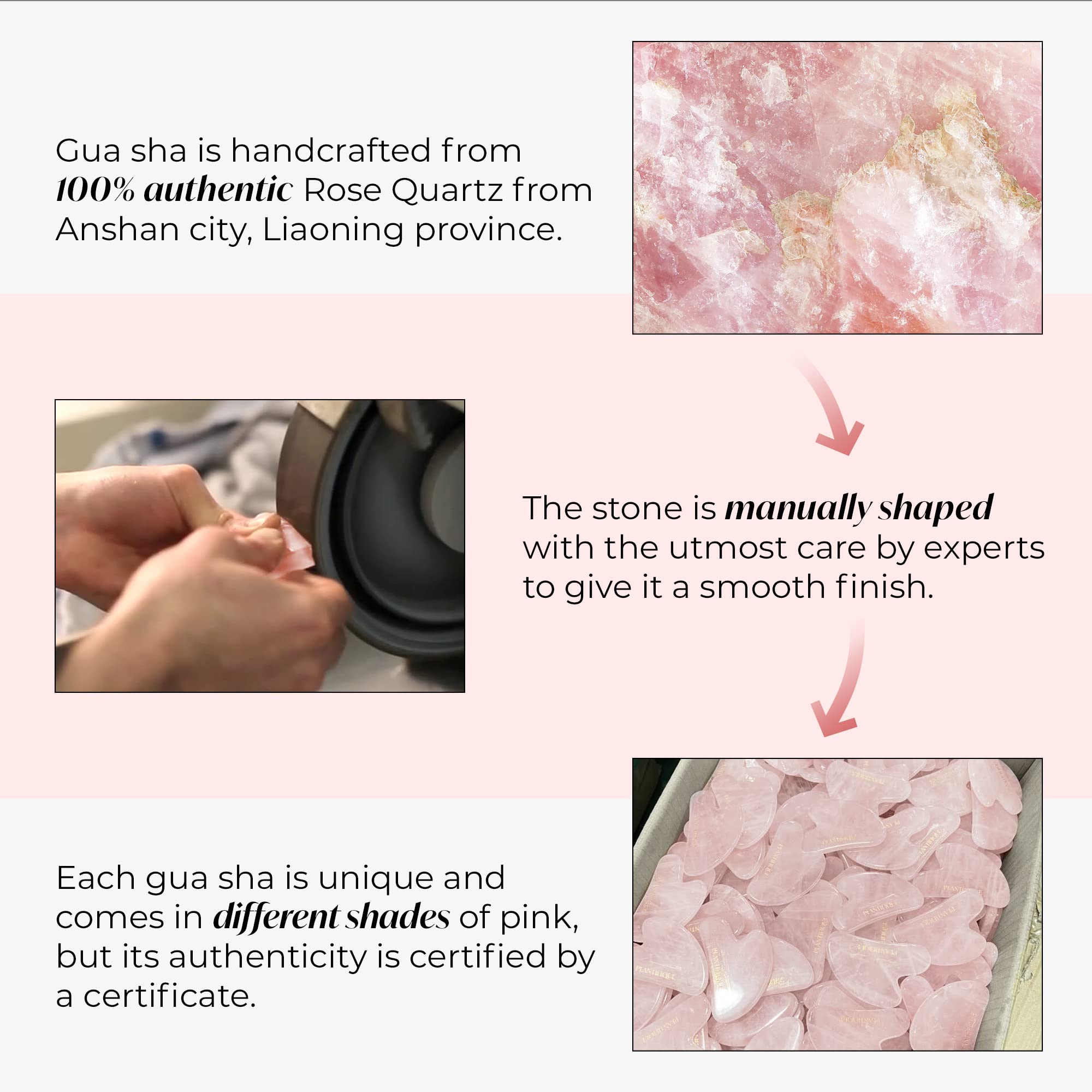 Plantifique Guide numerique gua sha routine soin