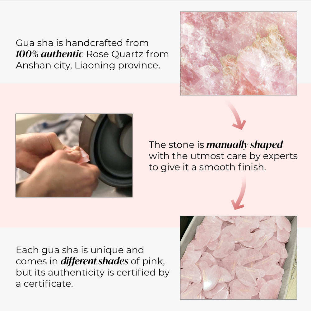 Plantifique Guide numerique gua sha routine soin