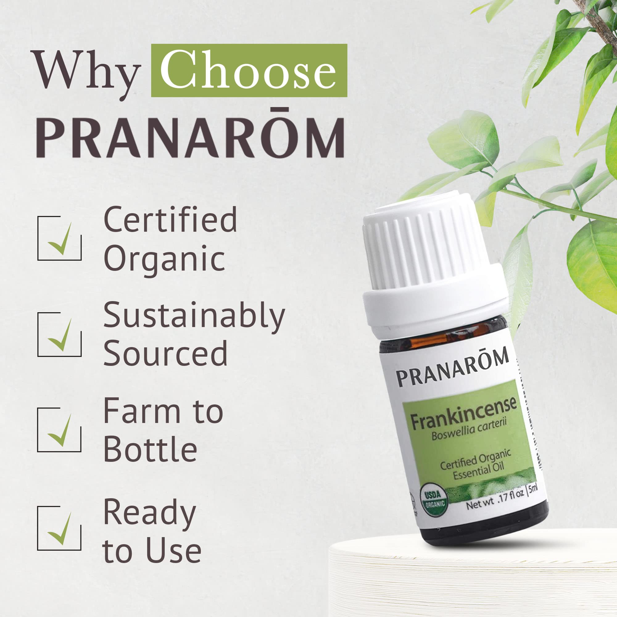 Usage quotidien Pranarom encens, intégration facile dans votre rituel bien-être.