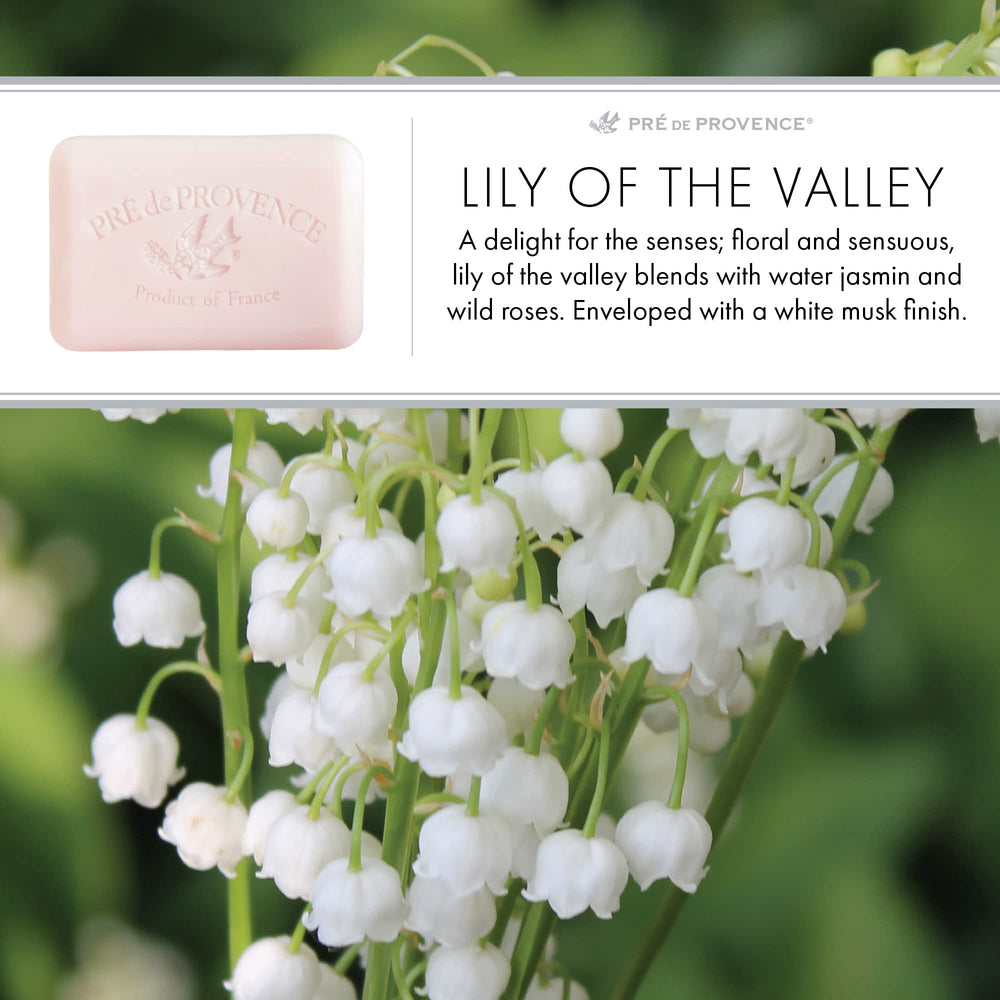 Pre de Provence 250g bar sized for generous daily use.