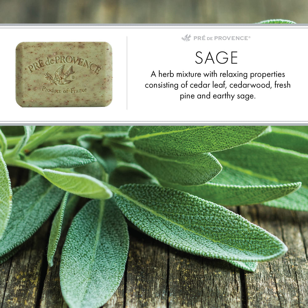 Emballage luxueux Pre de Provence, cadeau élégant à la sauge.