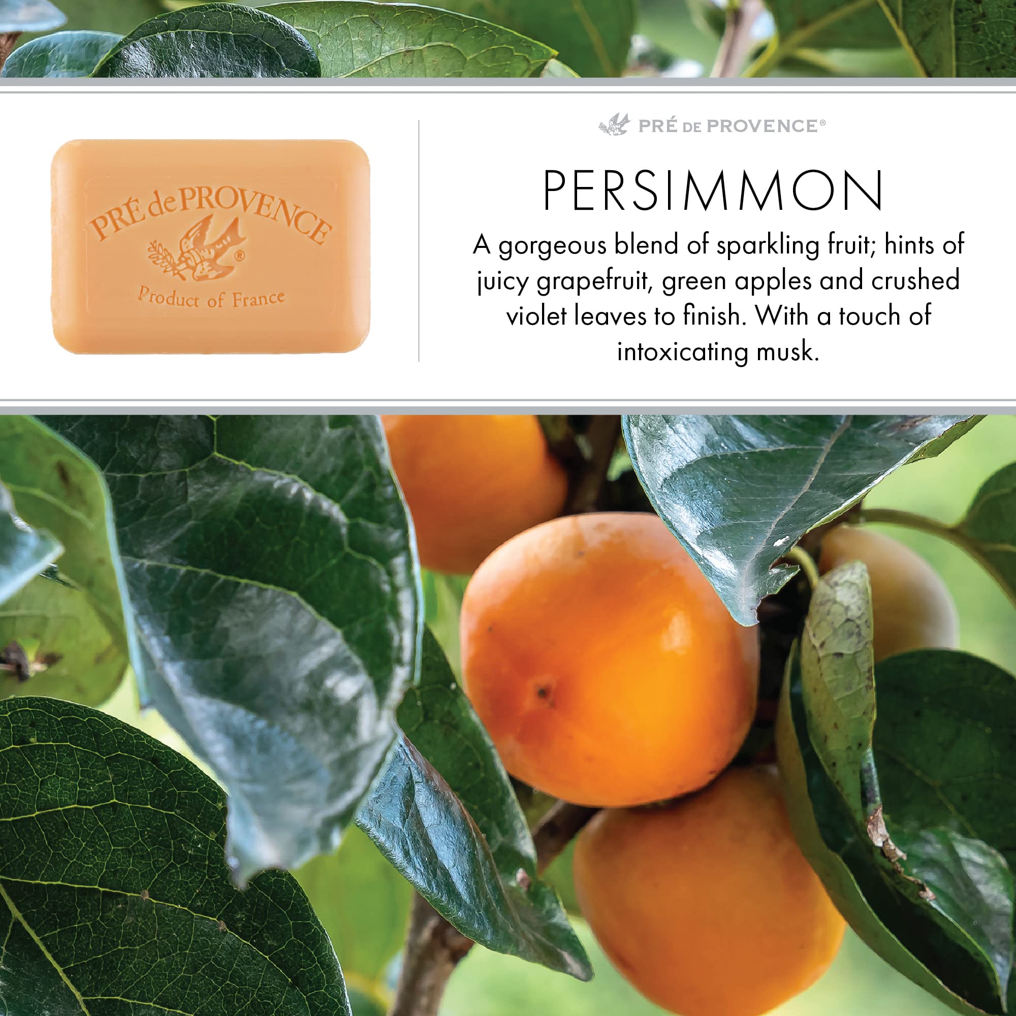 Parfum persimon du savon Pré de Provence, bouquet frais.