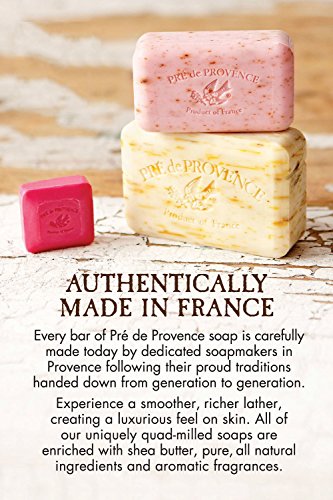 Savon polyvalent pour salle de bains et cuisine, sauge.