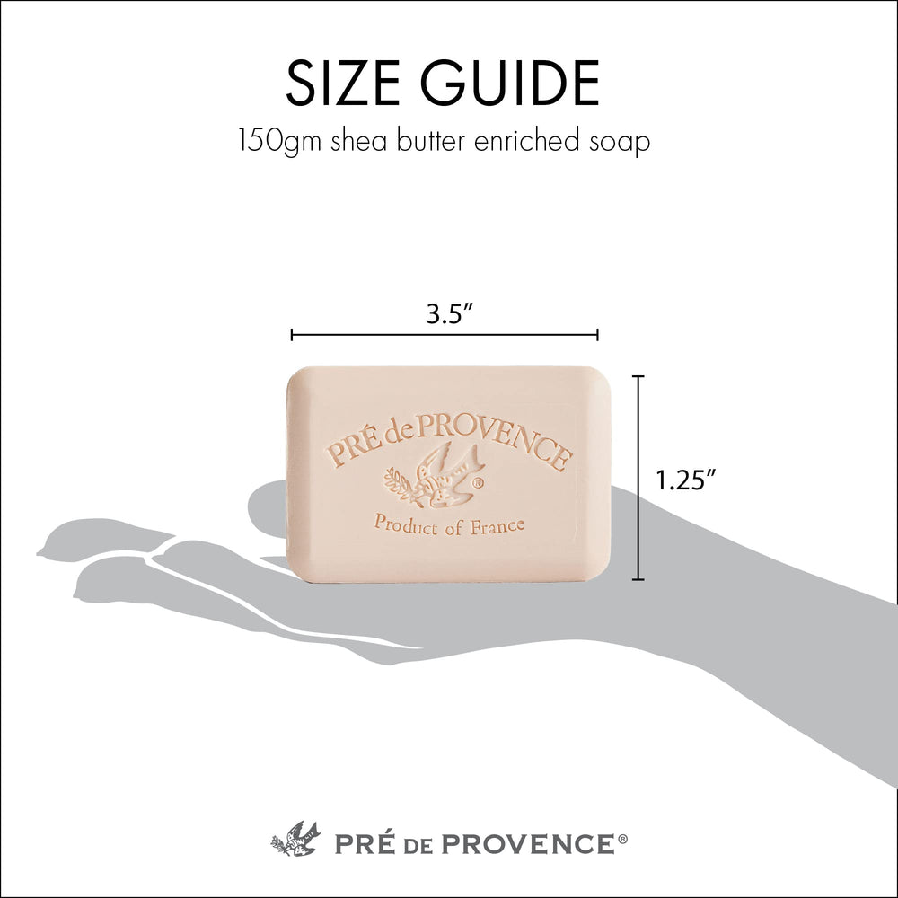 Savon Pre de Provence pour mains et usage quotidien, mousse légère