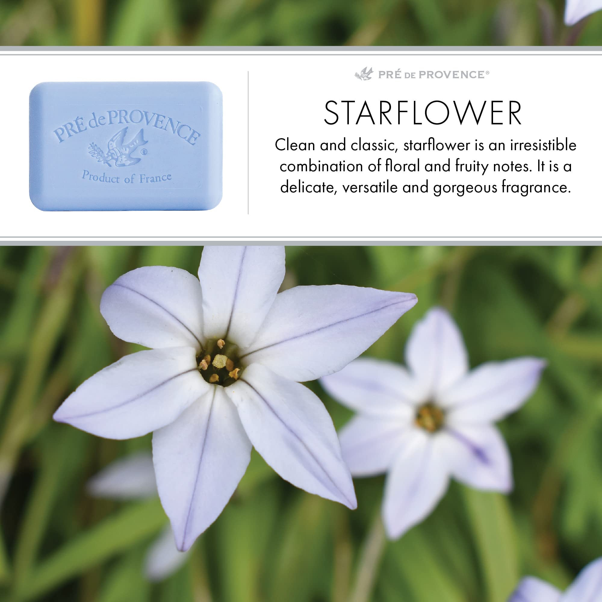 Savon artisanal provençal Pre de Provence texture lisse