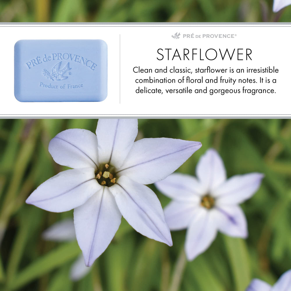 Savon artisanal provençal Pre de Provence texture lisse