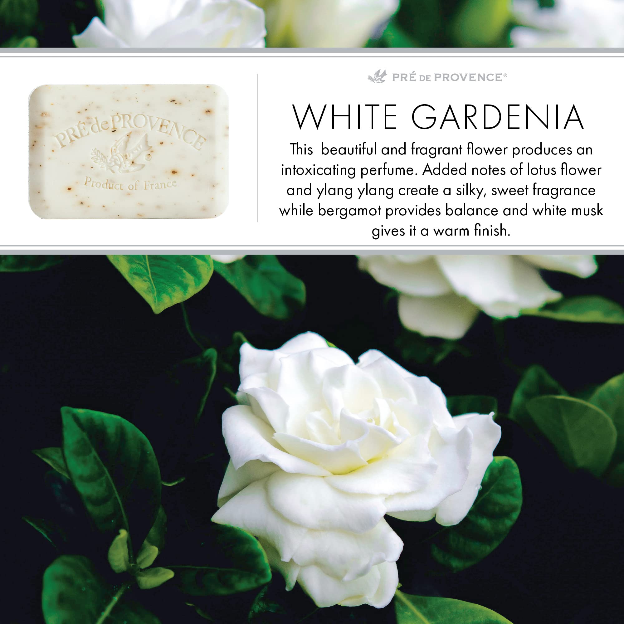 Senteur Gardenia blanche Pre de Provence, embaumant la salle de bains.