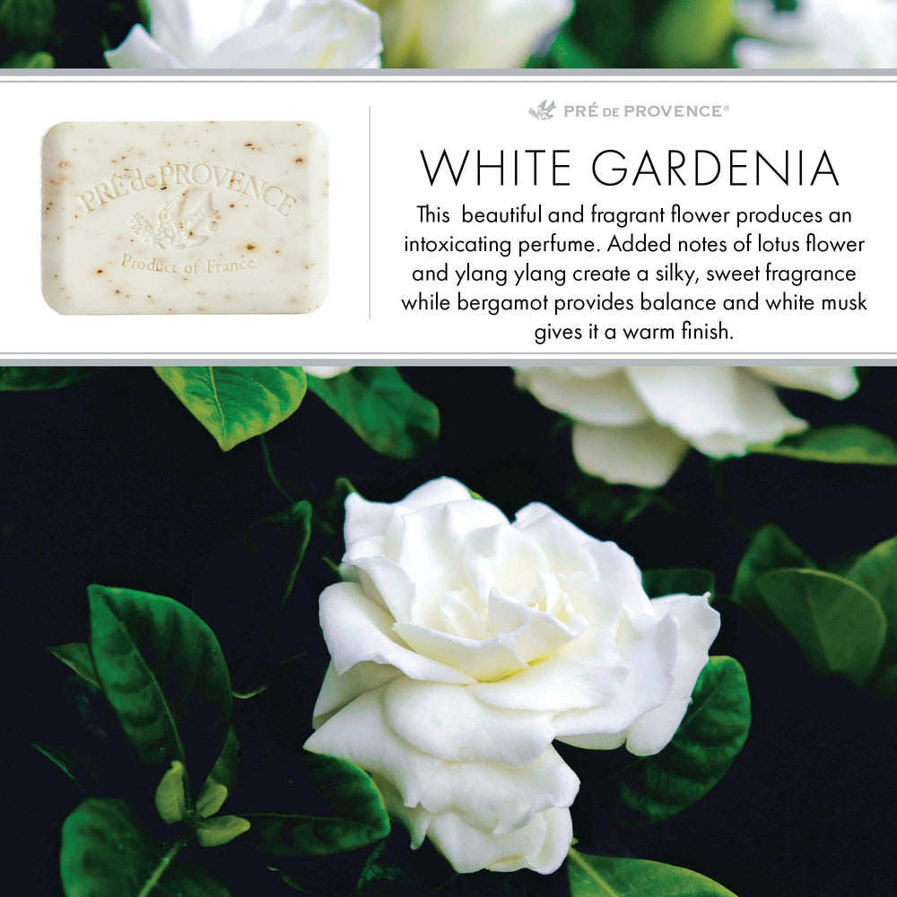 Senteur Gardenia blanche Pre de Provence, embaumant la salle de bains.