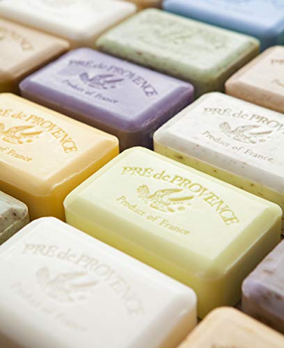 Senteur provençale Pre de Provence, expérience sensorielle relaxante.