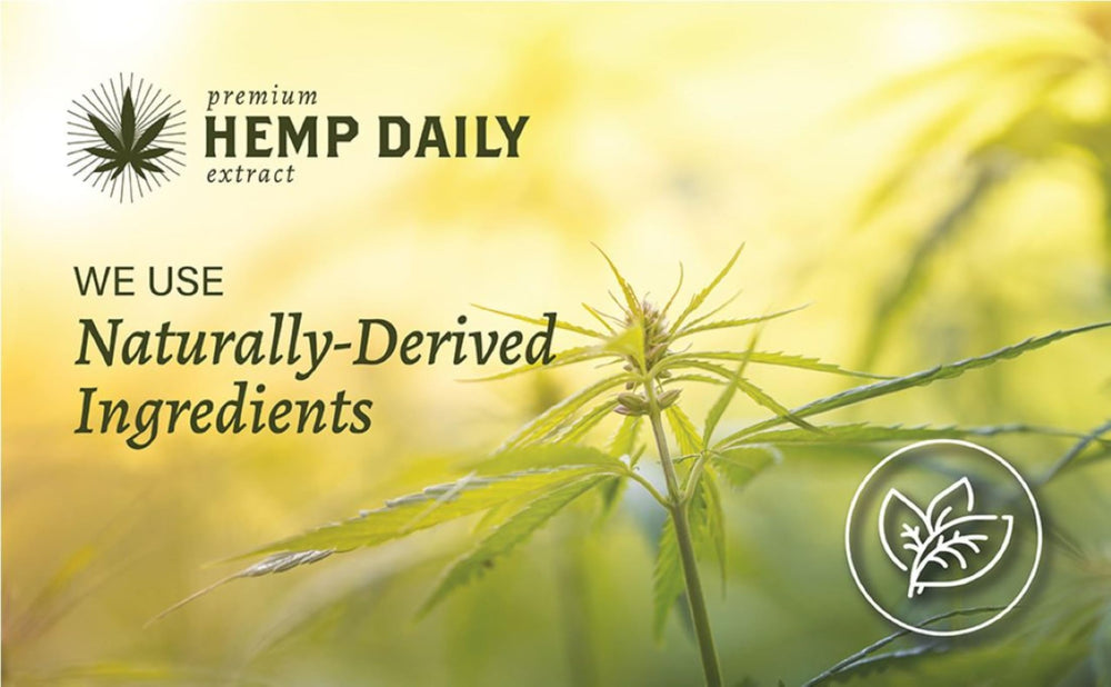 Pack de deux Crème Premium Hemp Extract Daily Menthe Classique pour routine pratique.