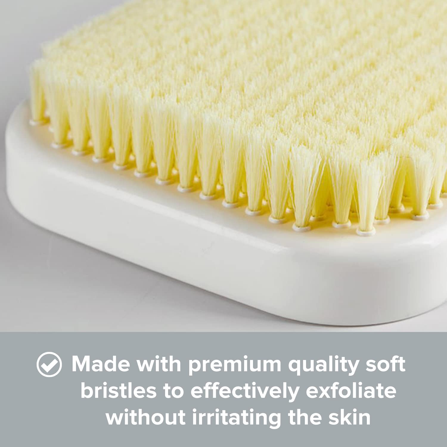 Conception durable de la brosse dos Primo Supply pour un usage quotidien.