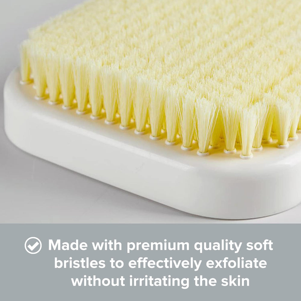 Conception durable de la brosse dos Primo Supply pour un usage quotidien.