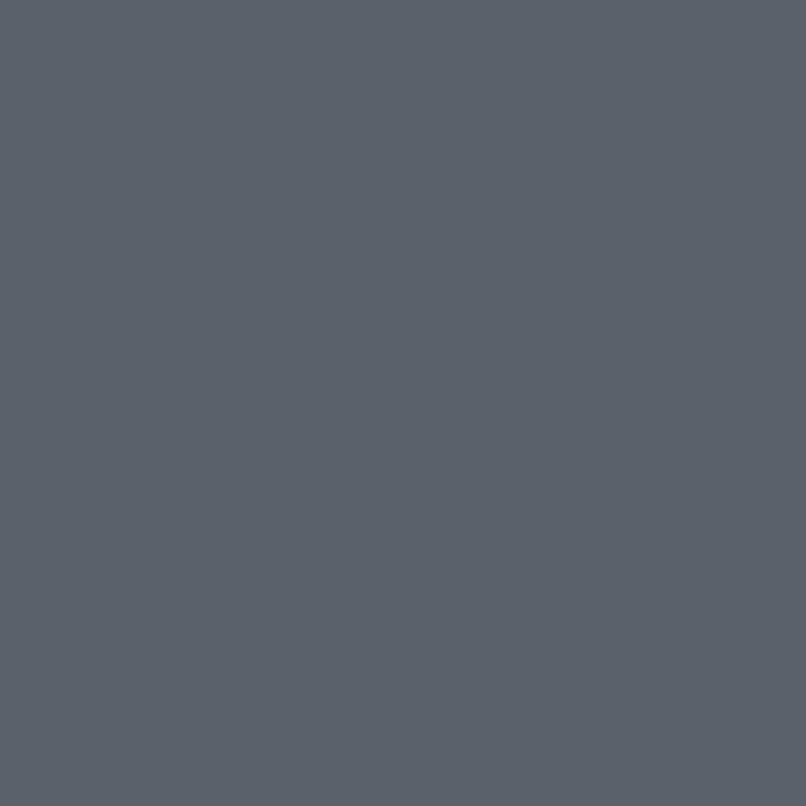 Probelle lime pied usage domestique nickel parfait pour pédicure à domicile