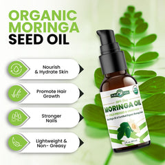 PURA VIDA MORINGA graines pureté et origine
