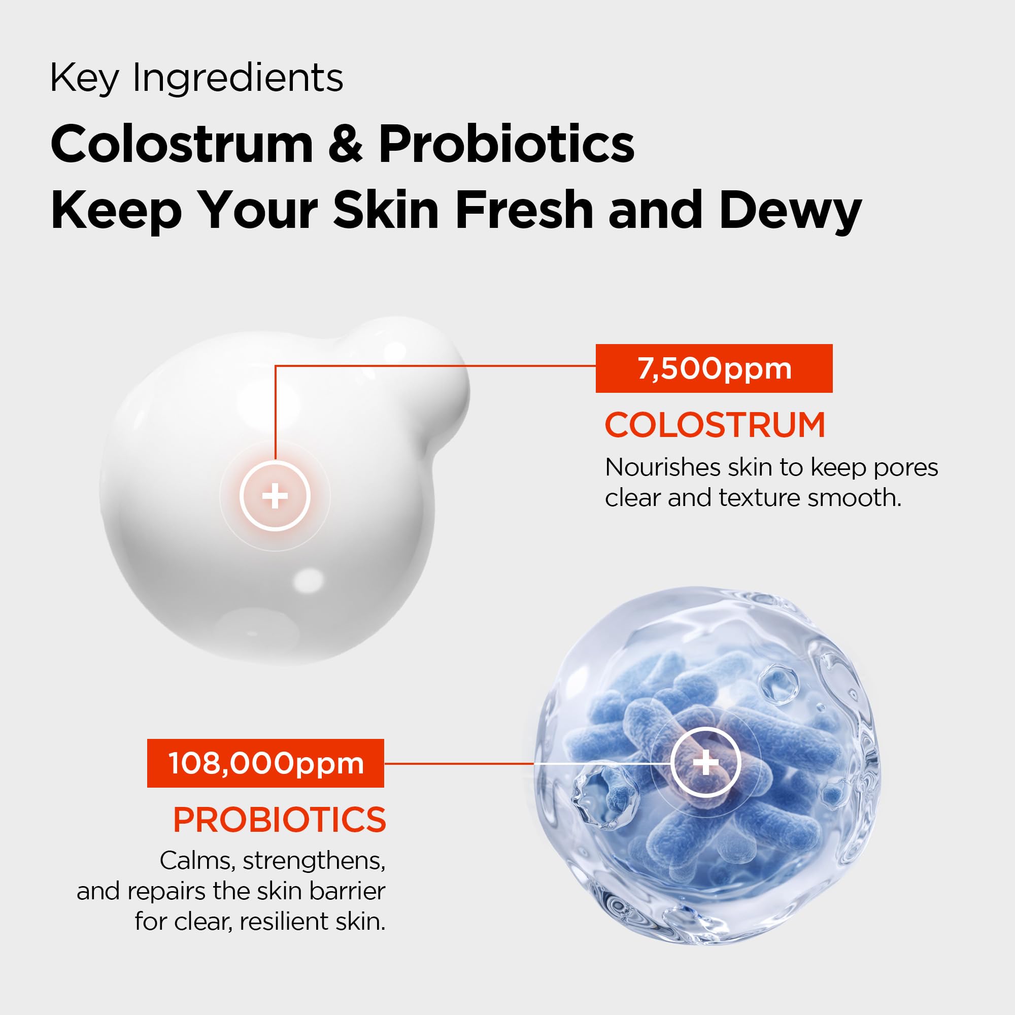 PURCELL 24/7 Colostrum Ampoule Mist visuel hydratation-continue: hydratation durable toute la journée