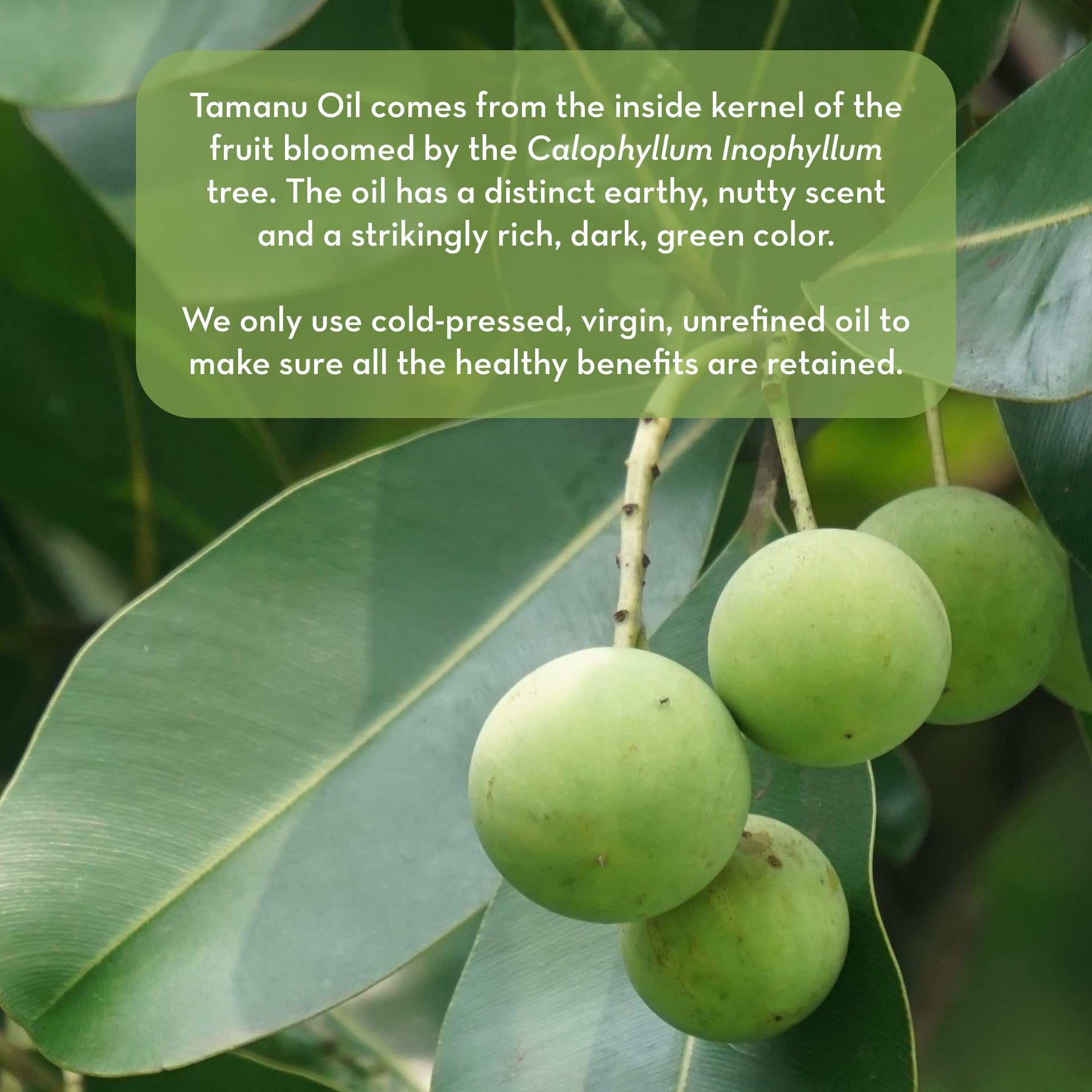 Tamanu Pure Body Naturals emballage et étiquette clair et informatif.