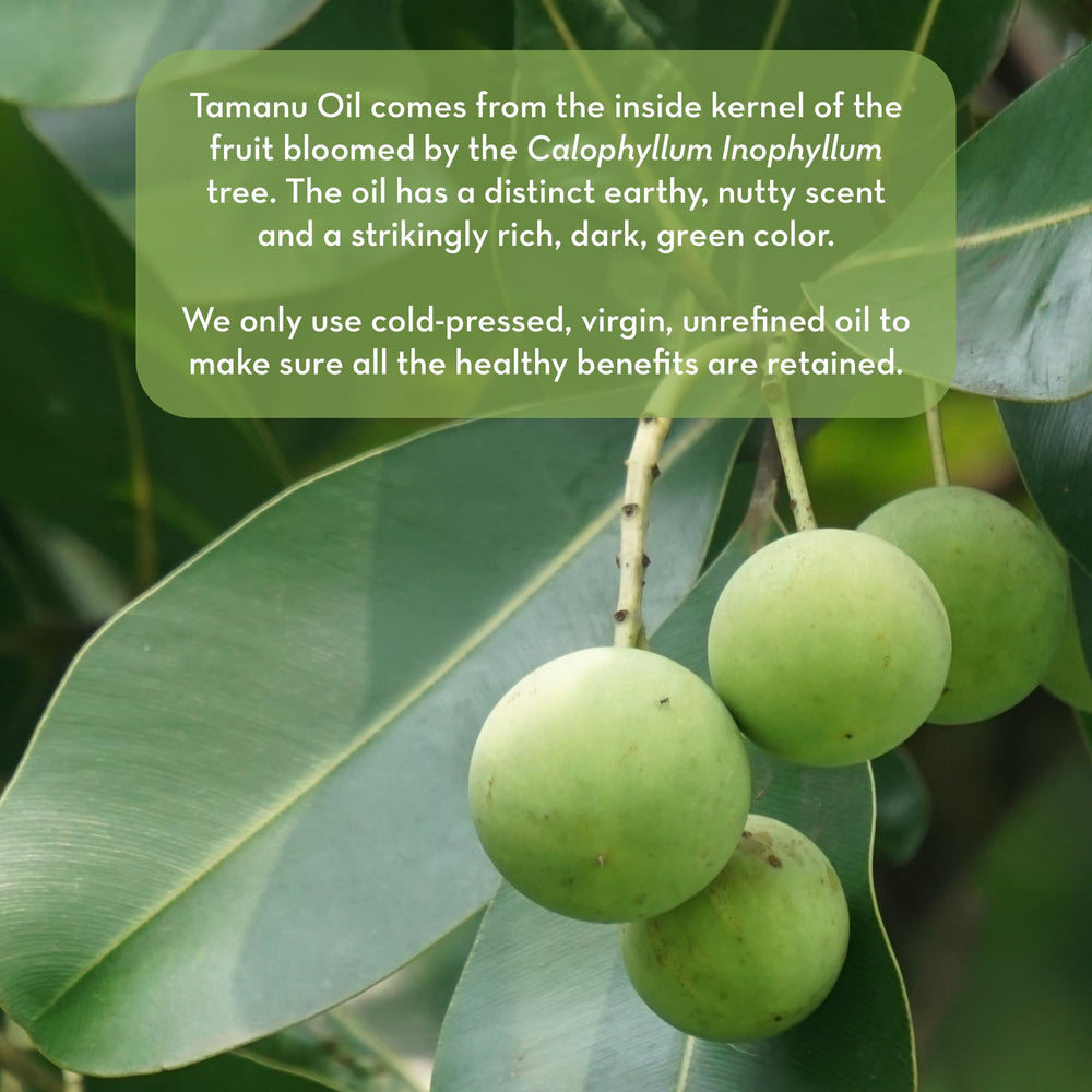 Tamanu Pure Body Naturals emballage et étiquette clair et informatif.