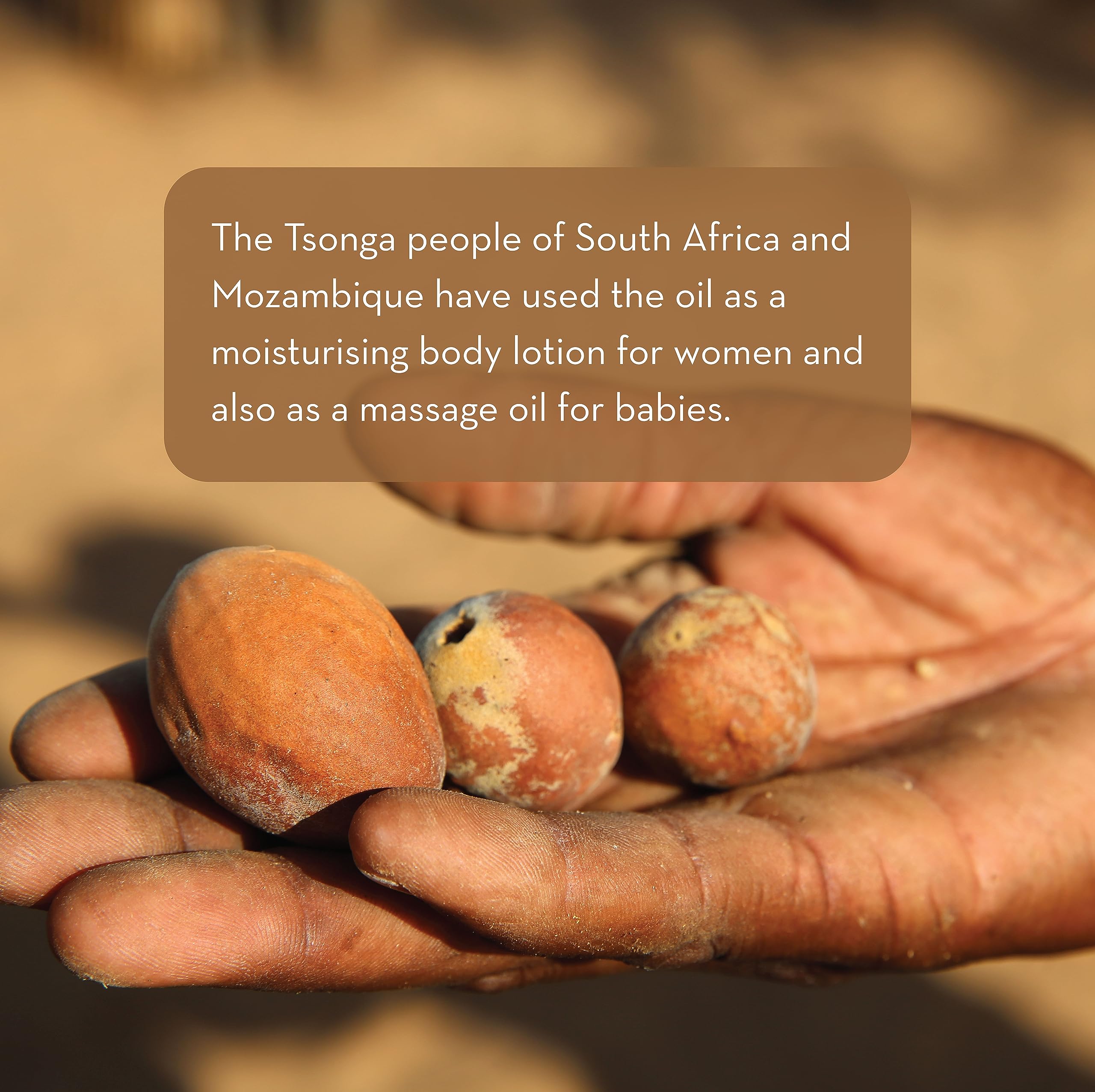 Origine Afrique du Sud et récolte sauvage de marula utilisée par Pure Body Naturals.