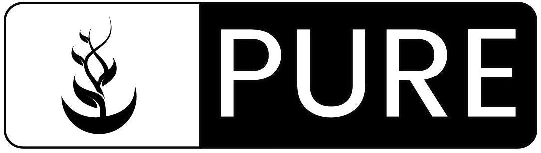 Pure Original Ingredients – application du sérum sur la peau dans une routine simple
