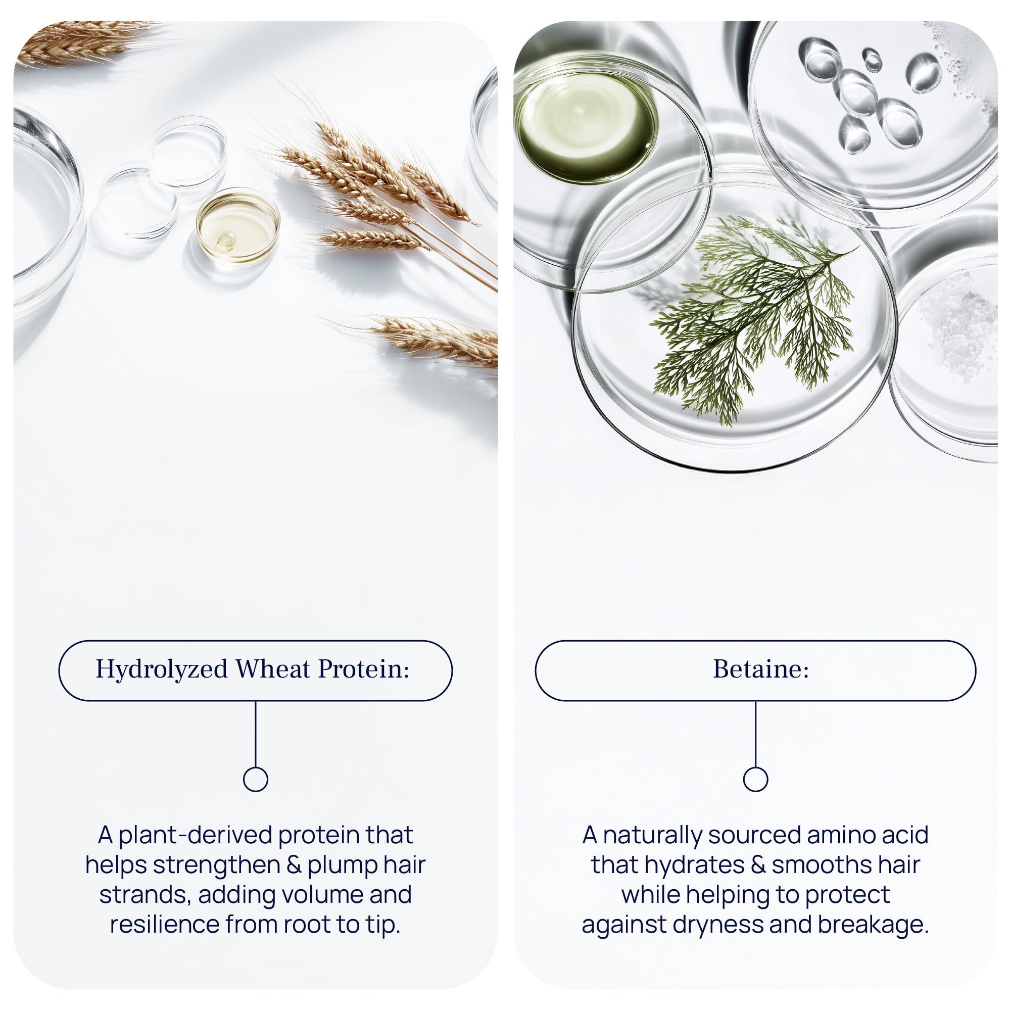 Pureance Hydralift – Cheveux-fin-densite: densité et mouvement accrus.