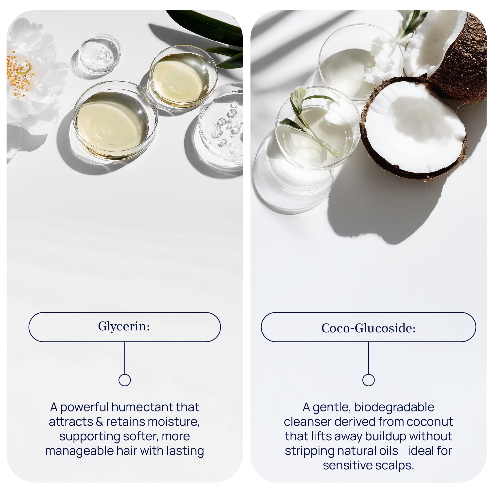 Pureance Hydralift – Ingrédients-botanique: extraits nourrissants pour longueurs souples.