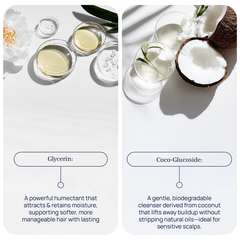 Pureance Hydralift – Ingrédients-botanique: extraits nourrissants pour longueurs souples.